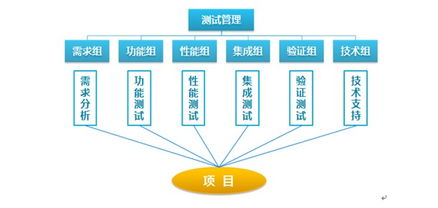 專(zhuān)業(yè)測(cè)試與軟件外包 雙輪驅(qū)動(dòng)，賦能企業(yè)數(shù)字化轉(zhuǎn)型