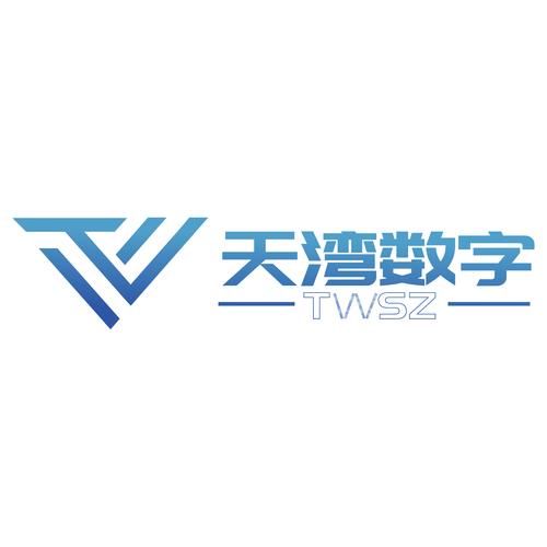 天灣數字技術股份 軟件外包服務的新標桿